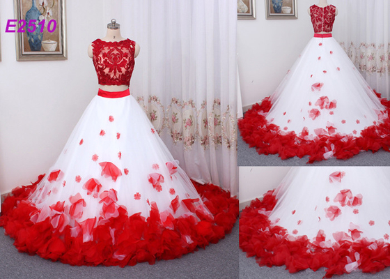 Weinlese zwei Stücke Ballkleid-Abschlussball-Kleiderapplikations-blüht Abend-Kleid